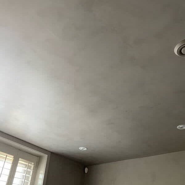Inconsistencies on the ceiling with using Pure & Original paint
